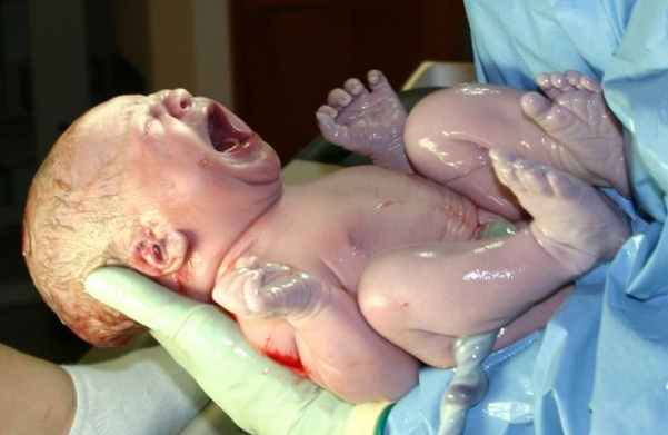 http://candidchatter.files.wordpress.com/2008/10/human_infant_newborn_baby.jpg